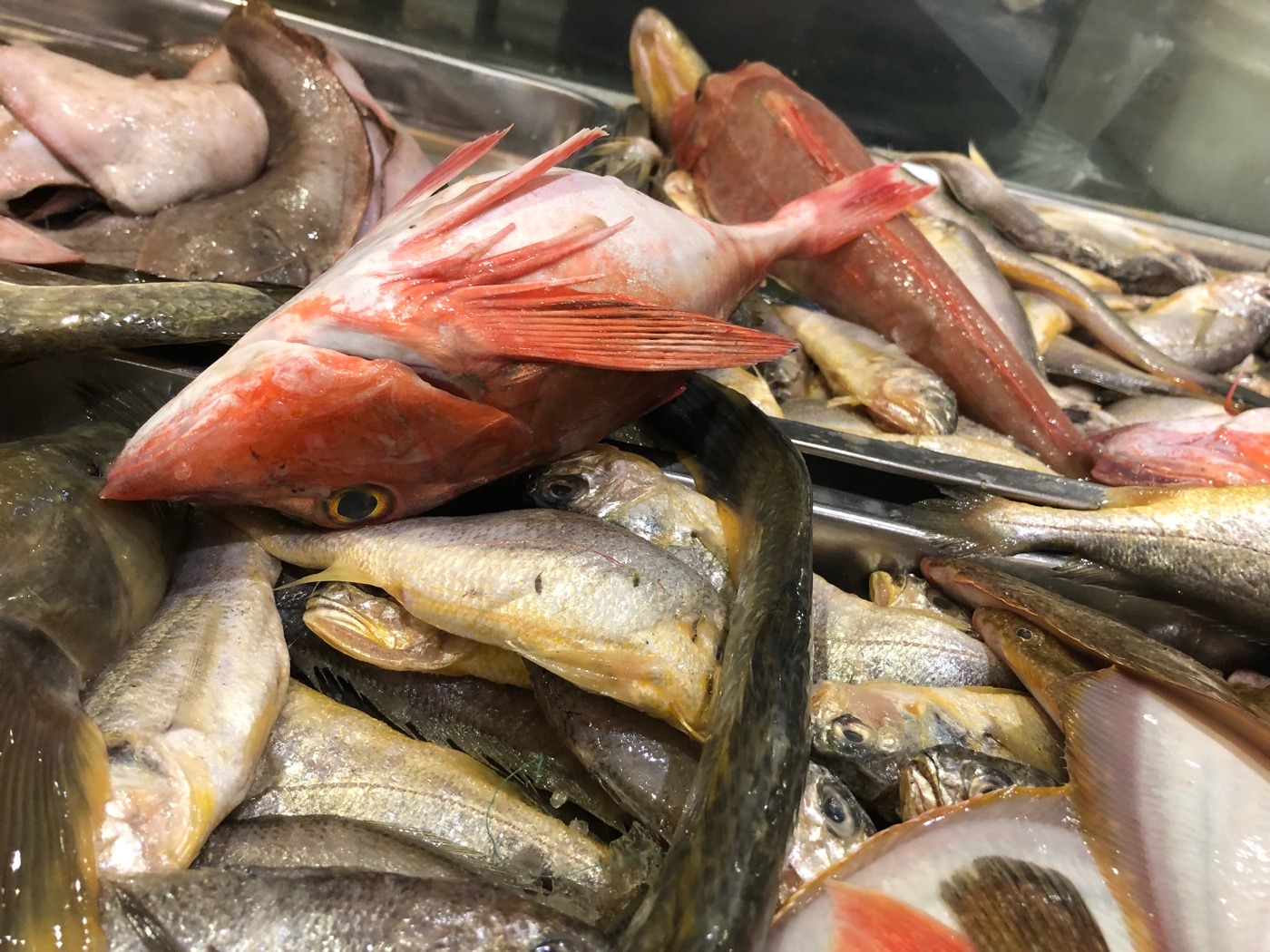 青岛美食-美味海鲜大酒店