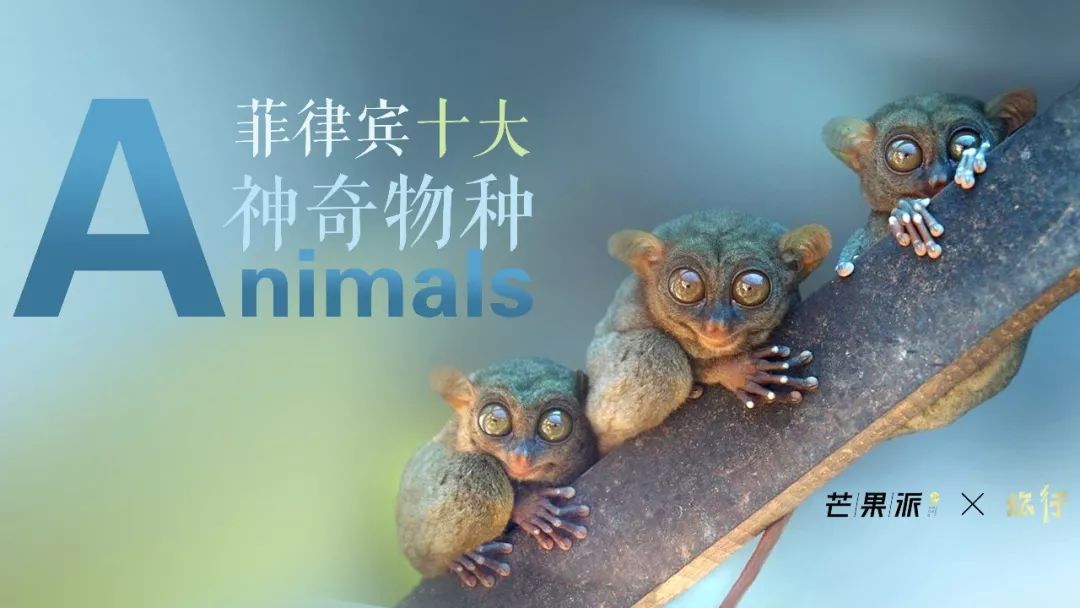 潜派旅行