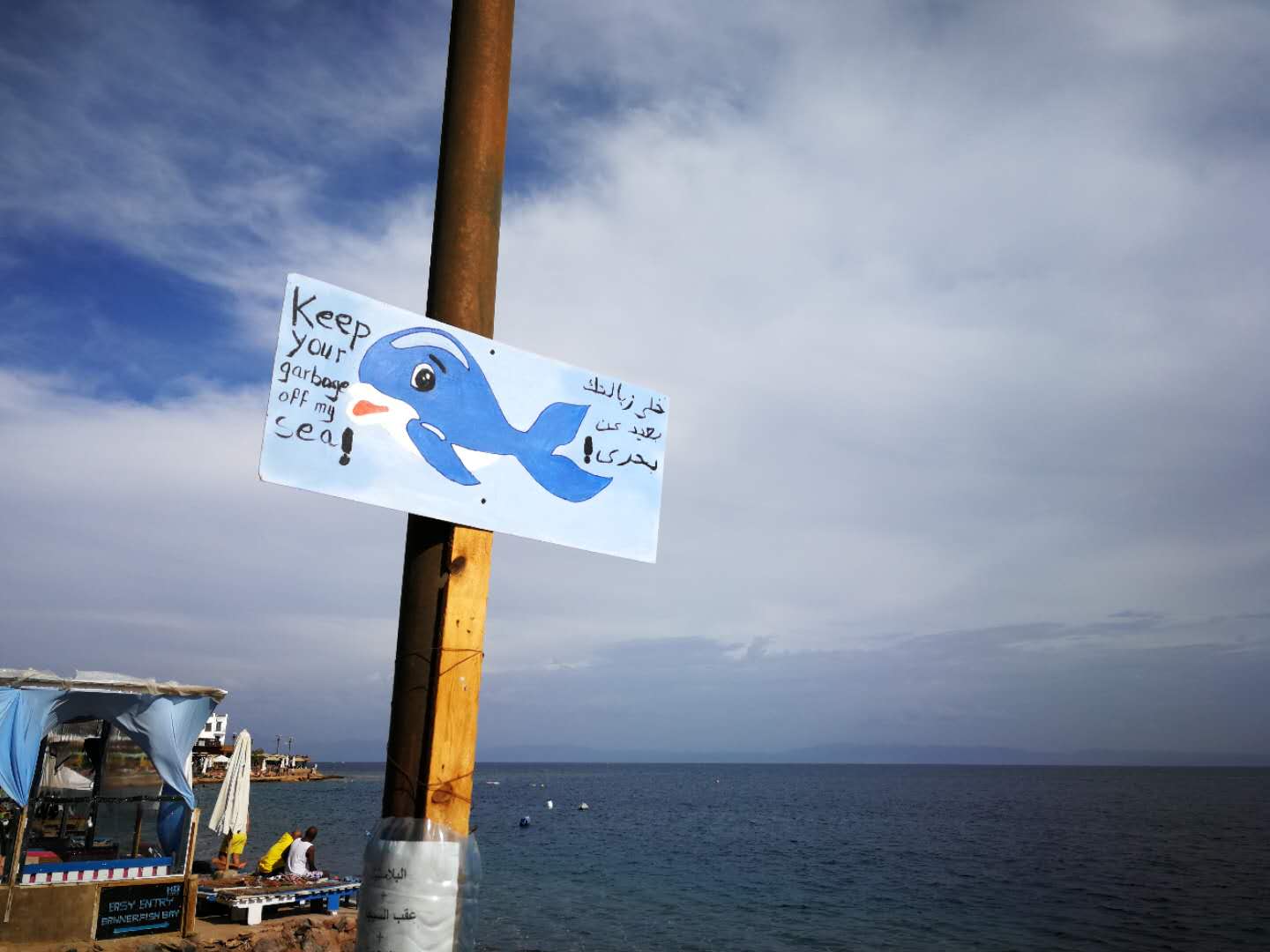 2018春节 埃及Dahab红海潜水记 （上）（PADI OW内容无遗漏）_游记