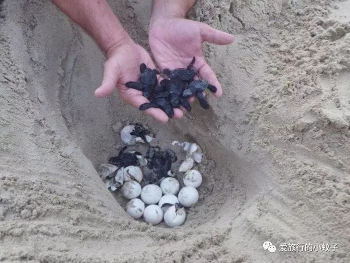 潜派旅行
