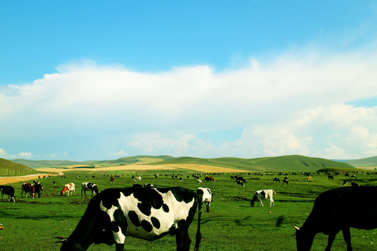 呼伦贝尔一般什么时候去最好