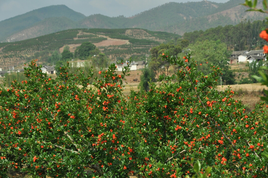 骑行皎平渡_游记