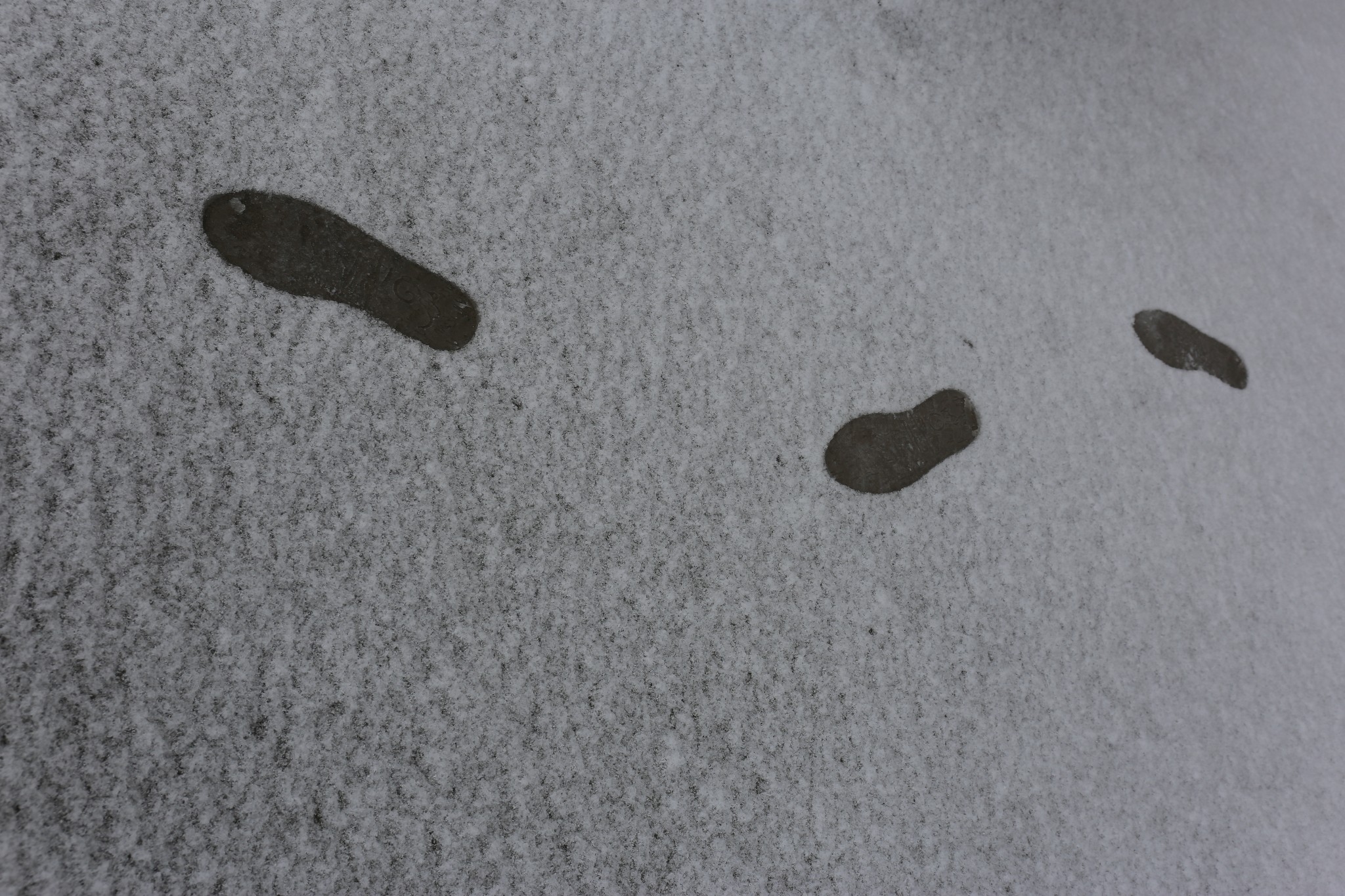 踏雪有痕，2018年启东第一场雪