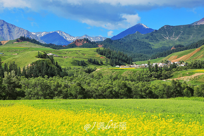 风起云涌,时不时遮住太阳,在草原上留下一片阴影,这般的光影变幻让人