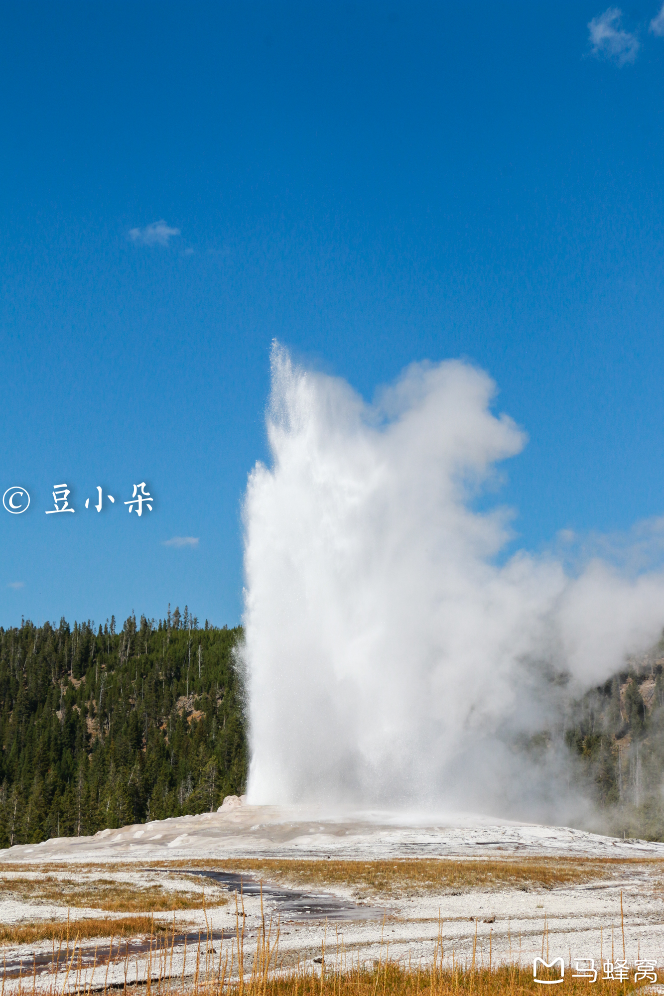 wKgBEFtOIXaABD7XAB5ql-ZEJJE75.jpeg?imageView2%2F2%2Fw%2F600%2Fh%2F600%2Fq%2F90