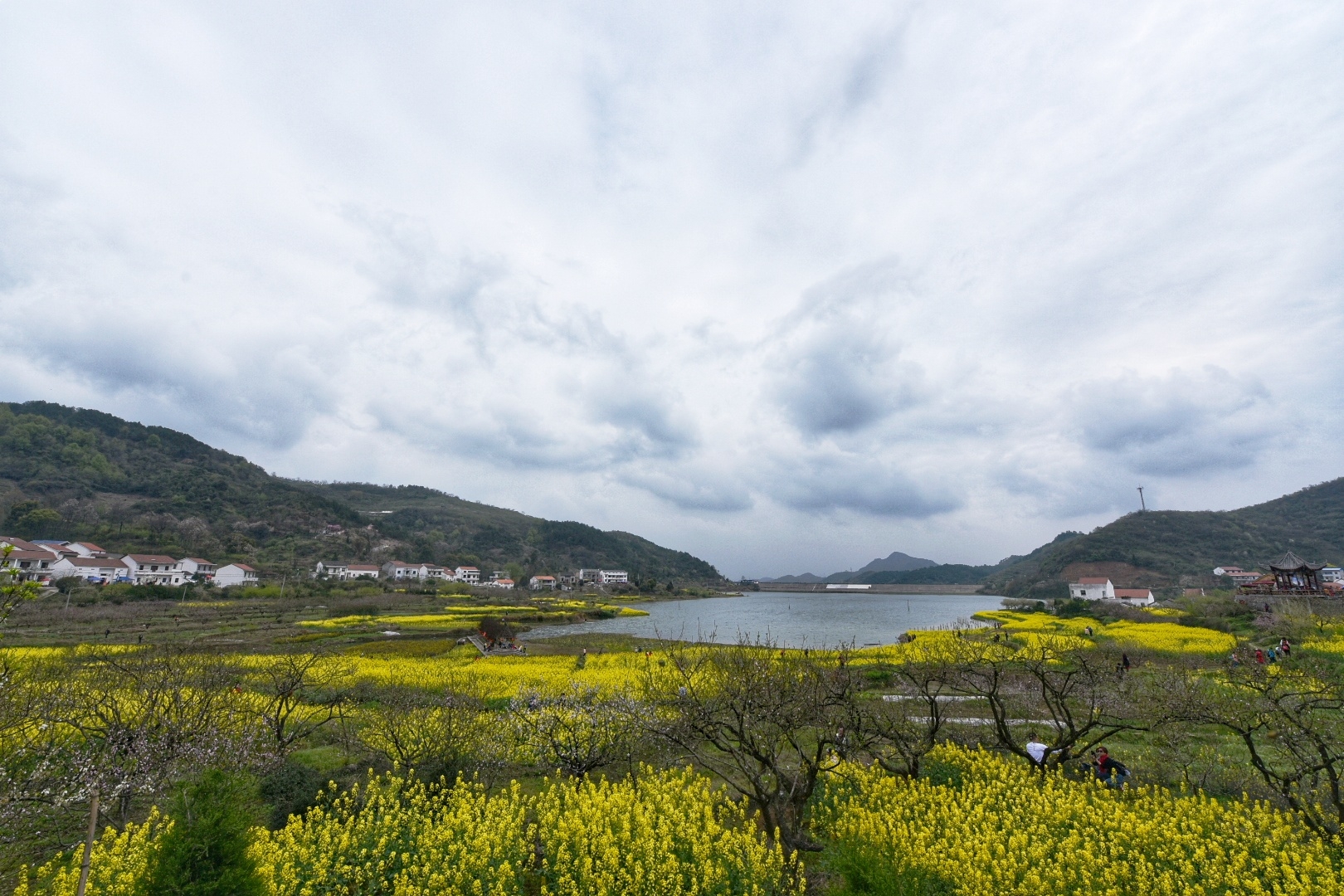 黄石大冶沼山村@小婺源