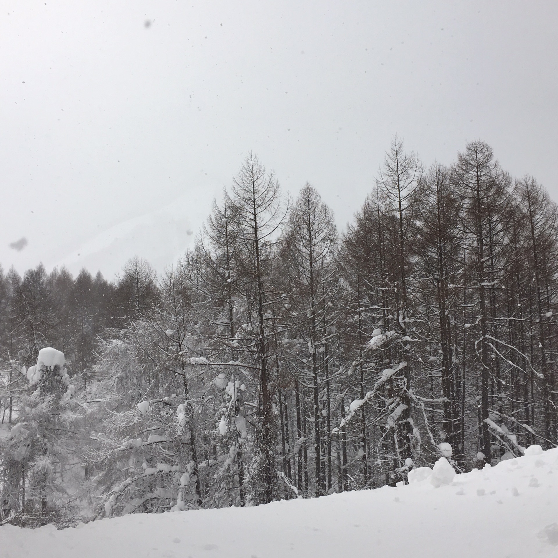 wKgBEFpnE2uAO7y-AA8k-xyGwI026.jpeg?imageView2%2F2%2Fw%2F600%2Fh%2F600%2Fq%2F90