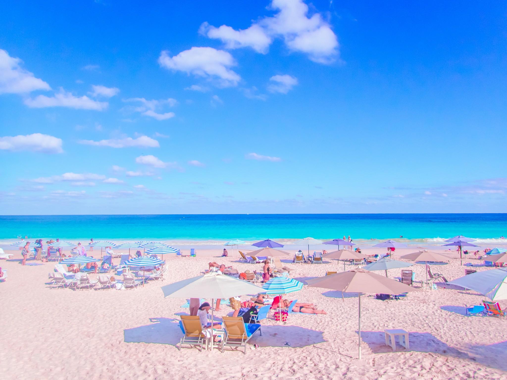 巴哈马（粉沙滩，猪岛）史上最详细旅游度假攻略 ，2018年1月_游记