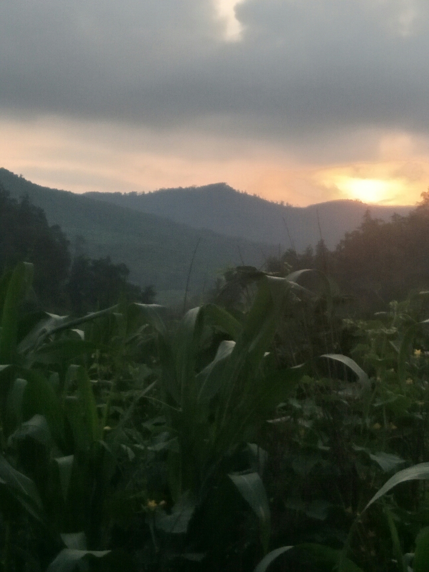 无聊的下午_游记