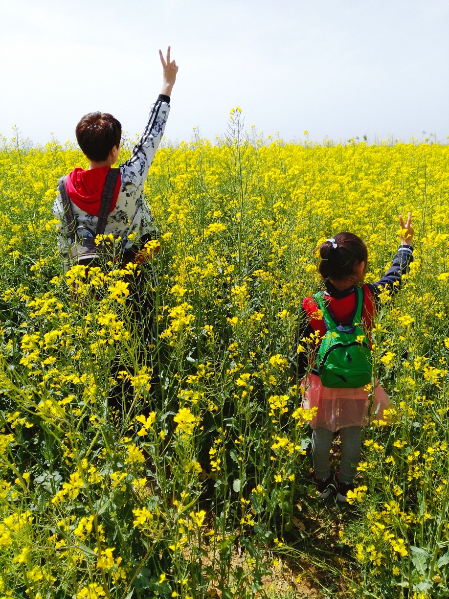 四月油菜花海