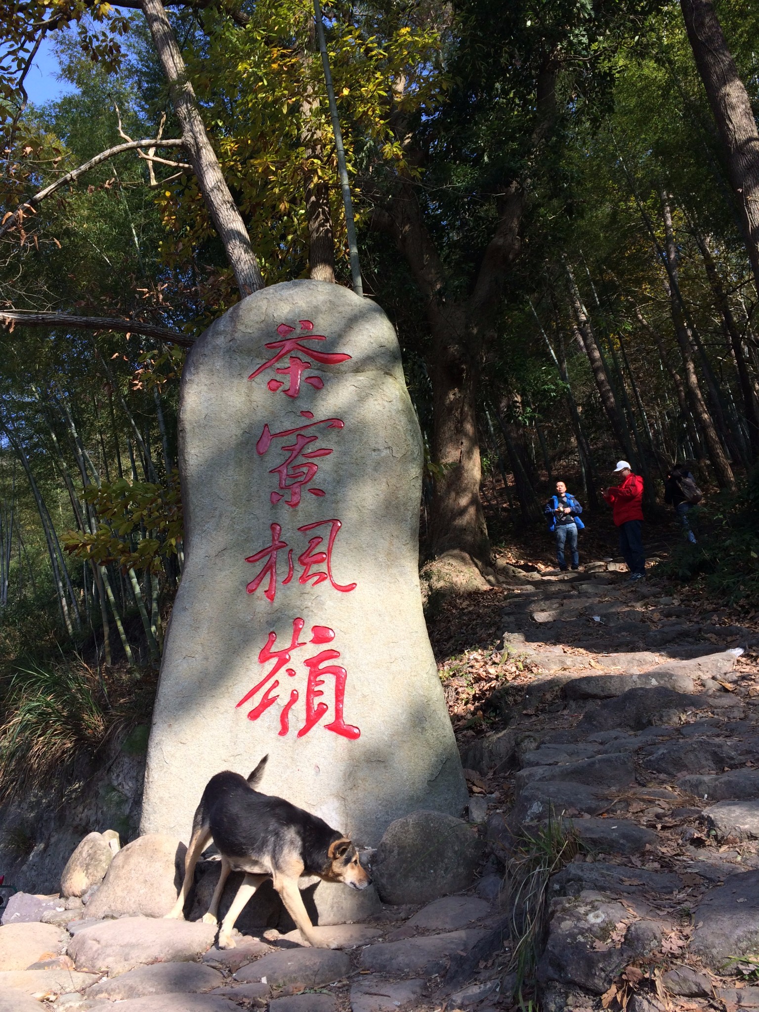 临海二日游：茶寮枫嶺，紫阳古街