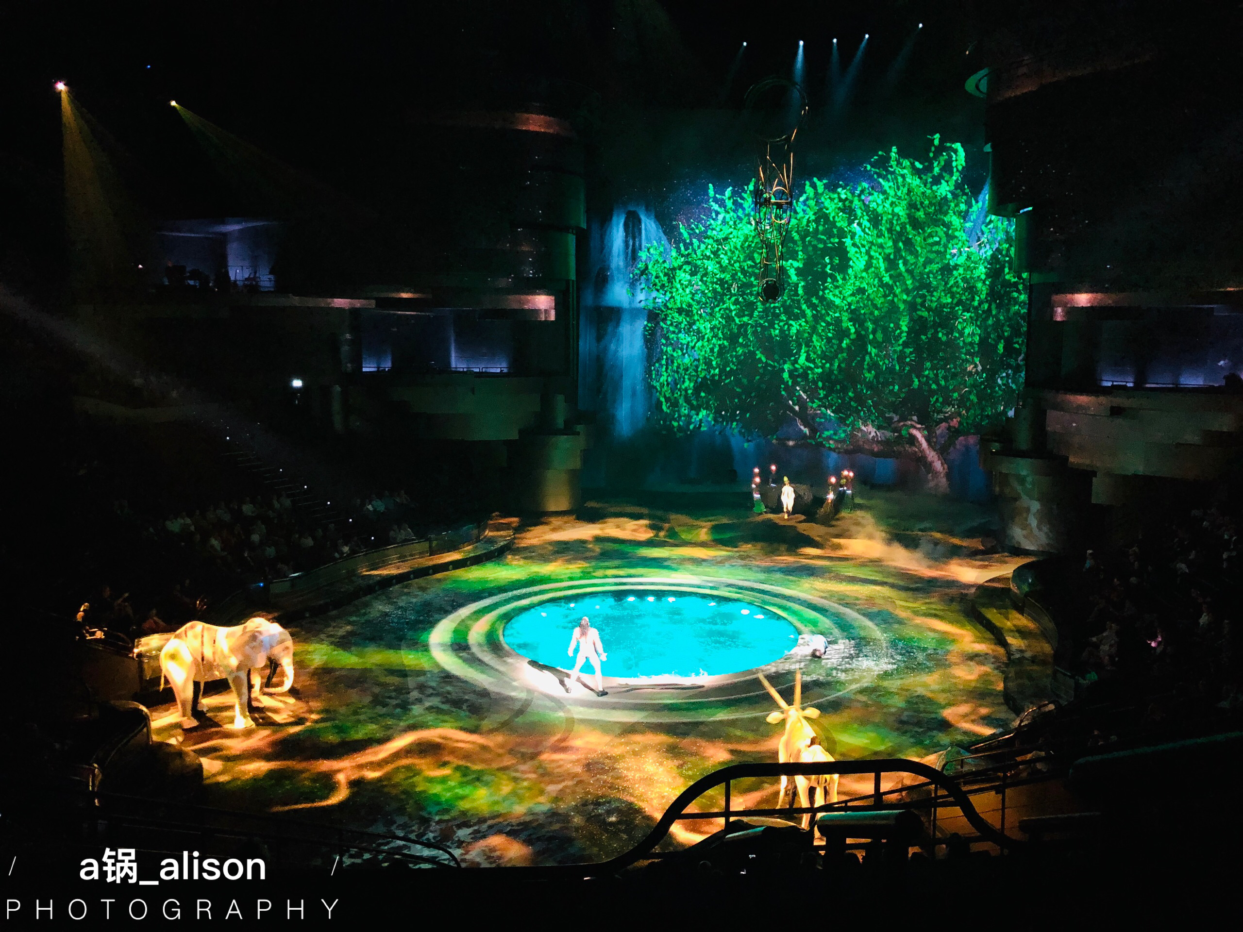 迪拜美食-Armani/Lounge