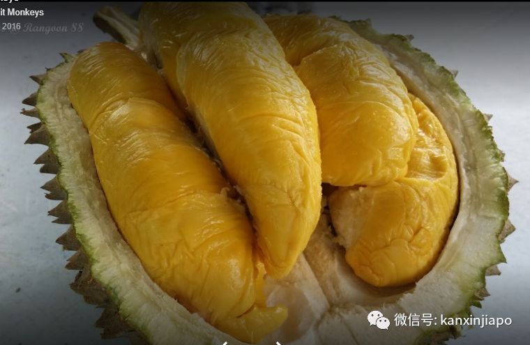 潜派旅行