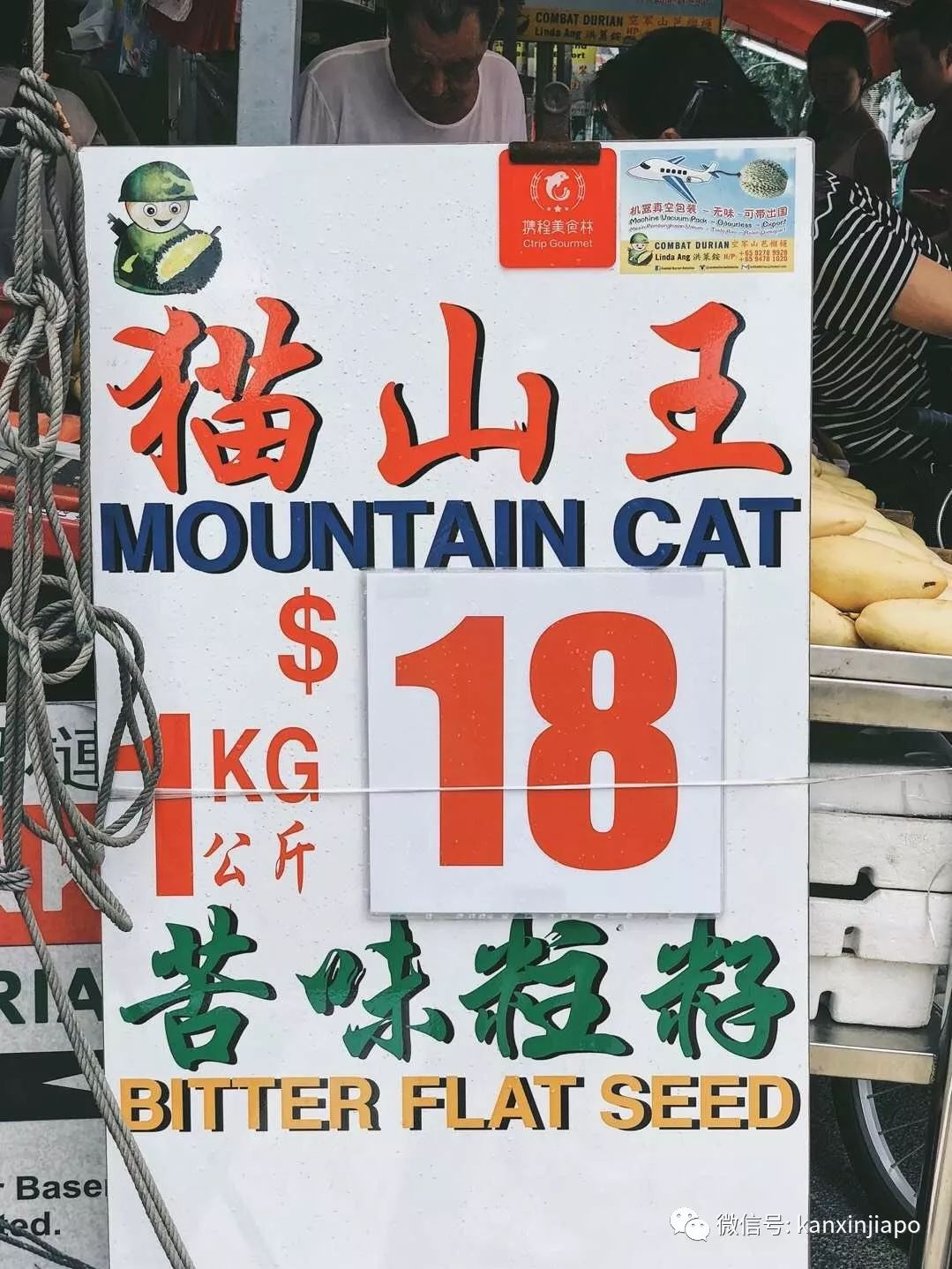 潜派旅行