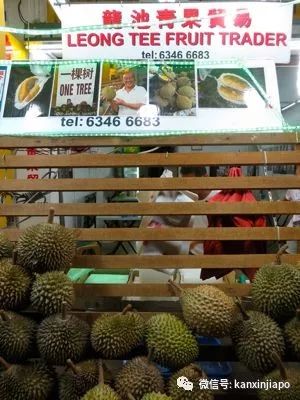 潜派旅行