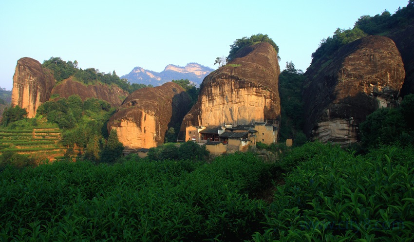 寻牛问马探索武夷山正岩核心牛肉马肉原生态茶旅特色一日游