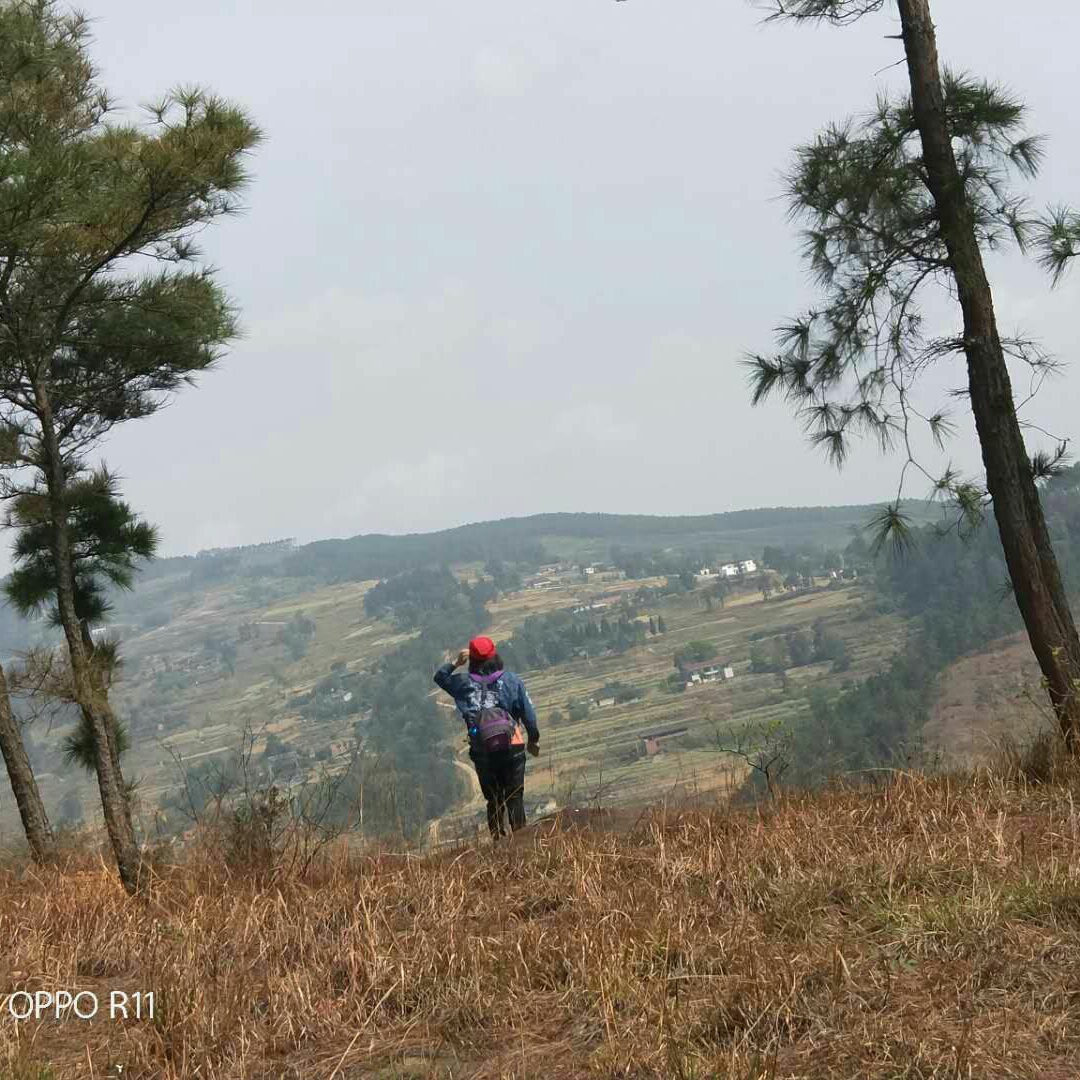 【威远县图片】海晨暮叶