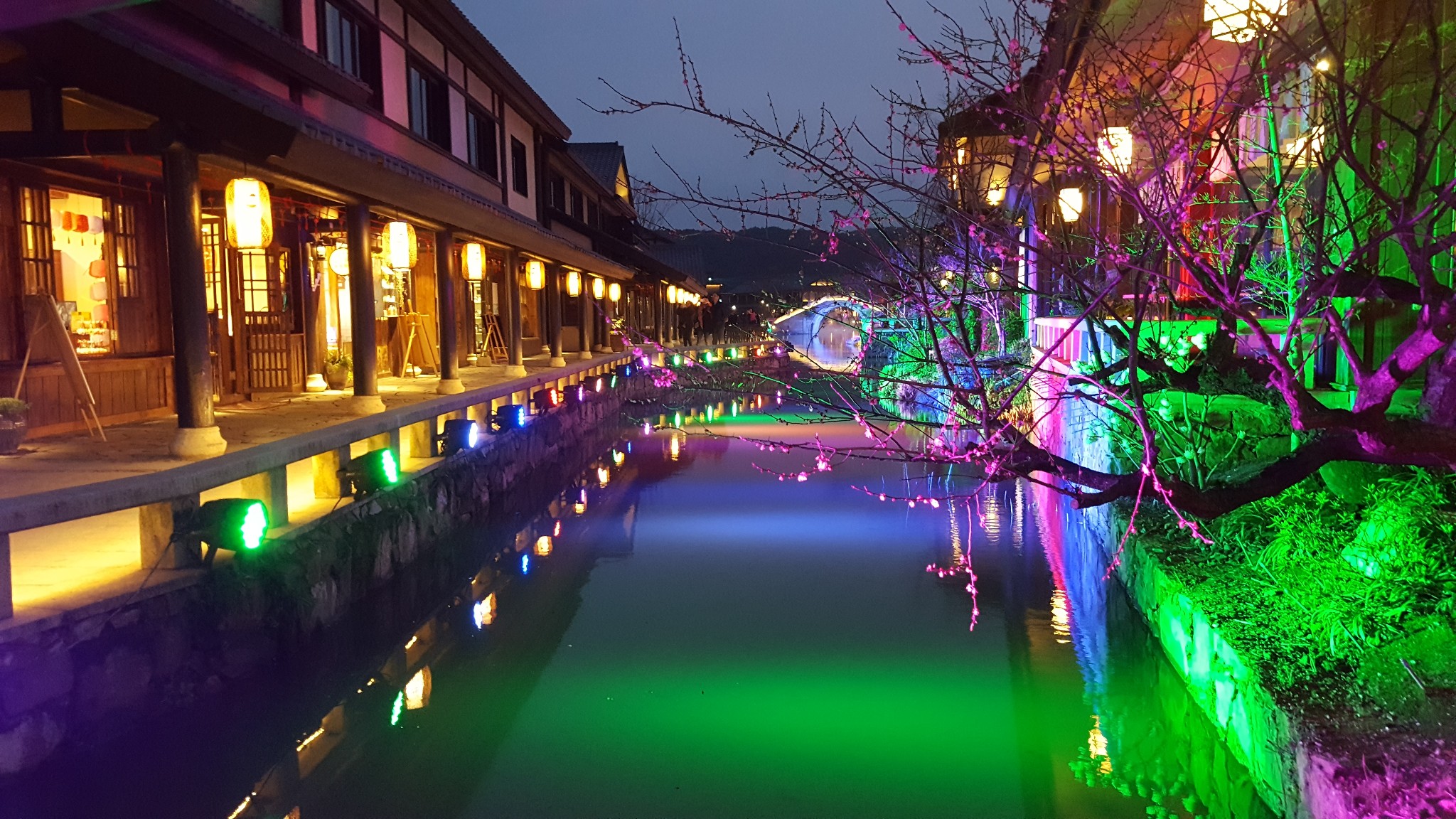 深圳—无锡—苏州—上海   与小伙伴的奇妙之旅（9天8晚）_游记