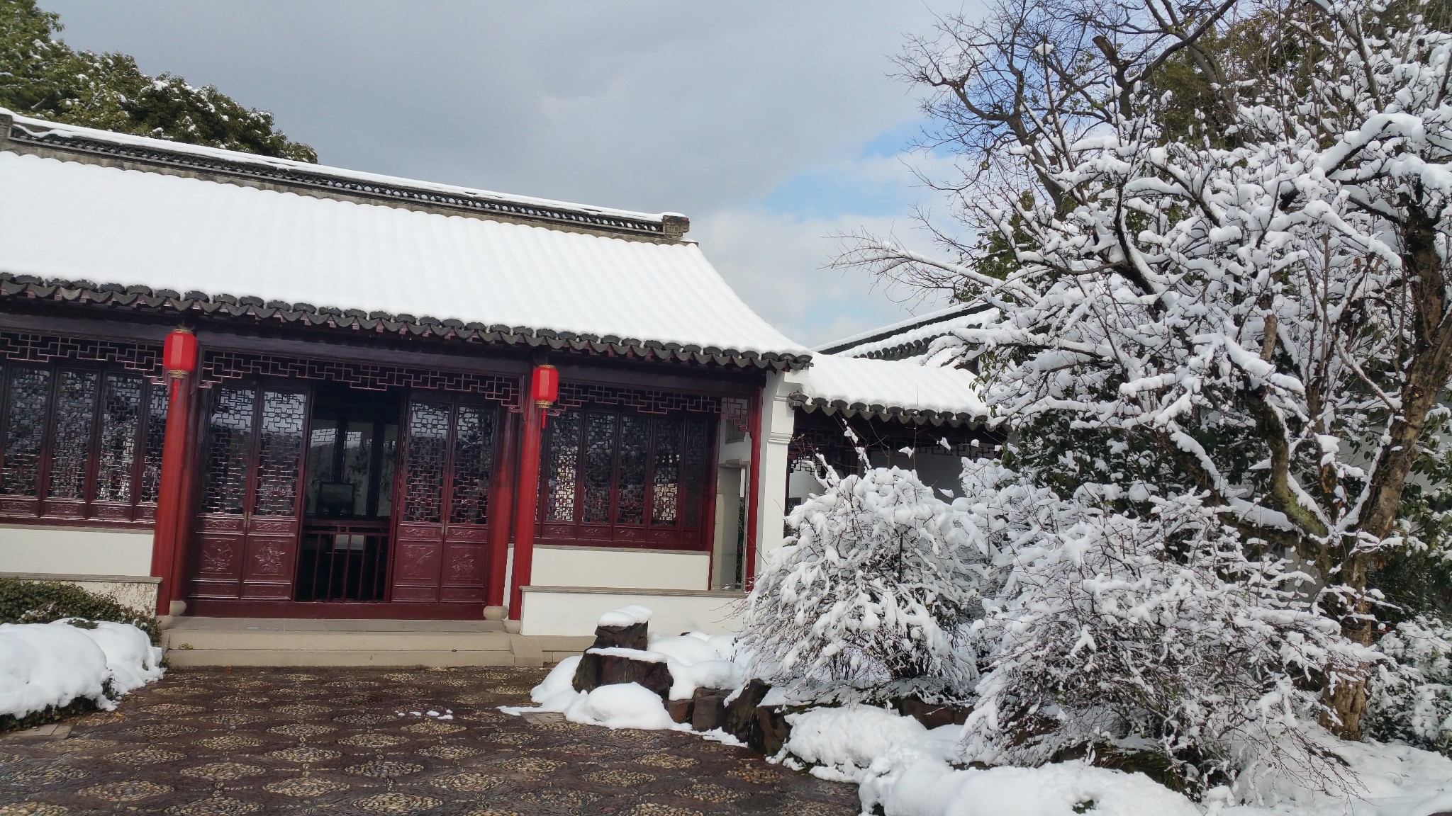 风一更,雪一更,聒碎乡心梦不成,故园无此声-常熟曾赵园,雪景美腻了!