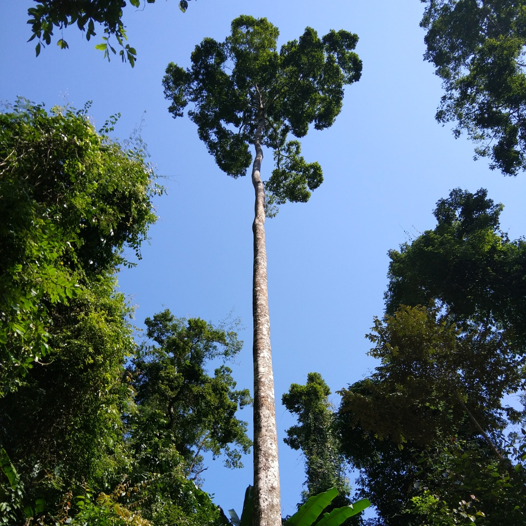 我要睡觉