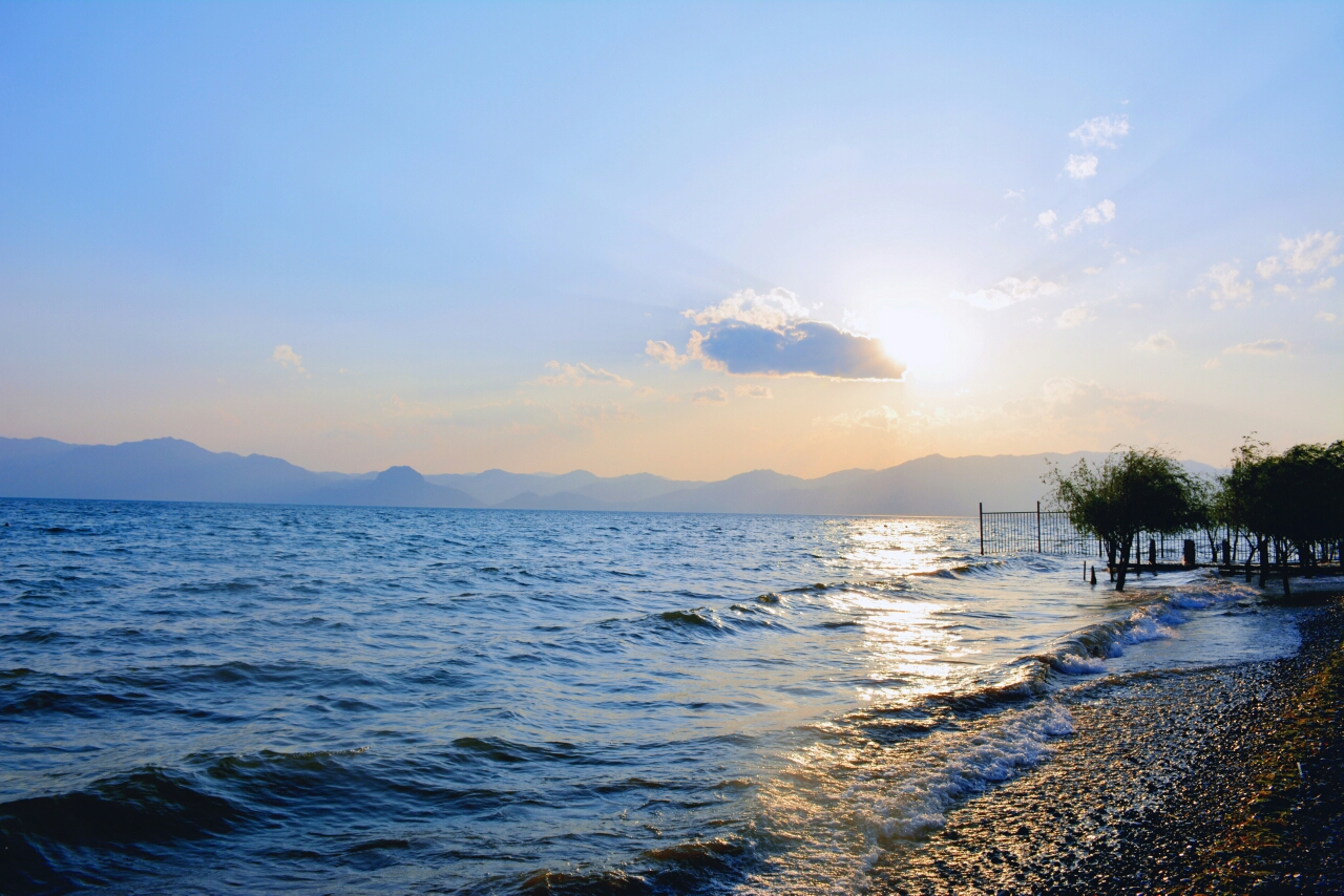 抚仙湖月亮湾湿地公园