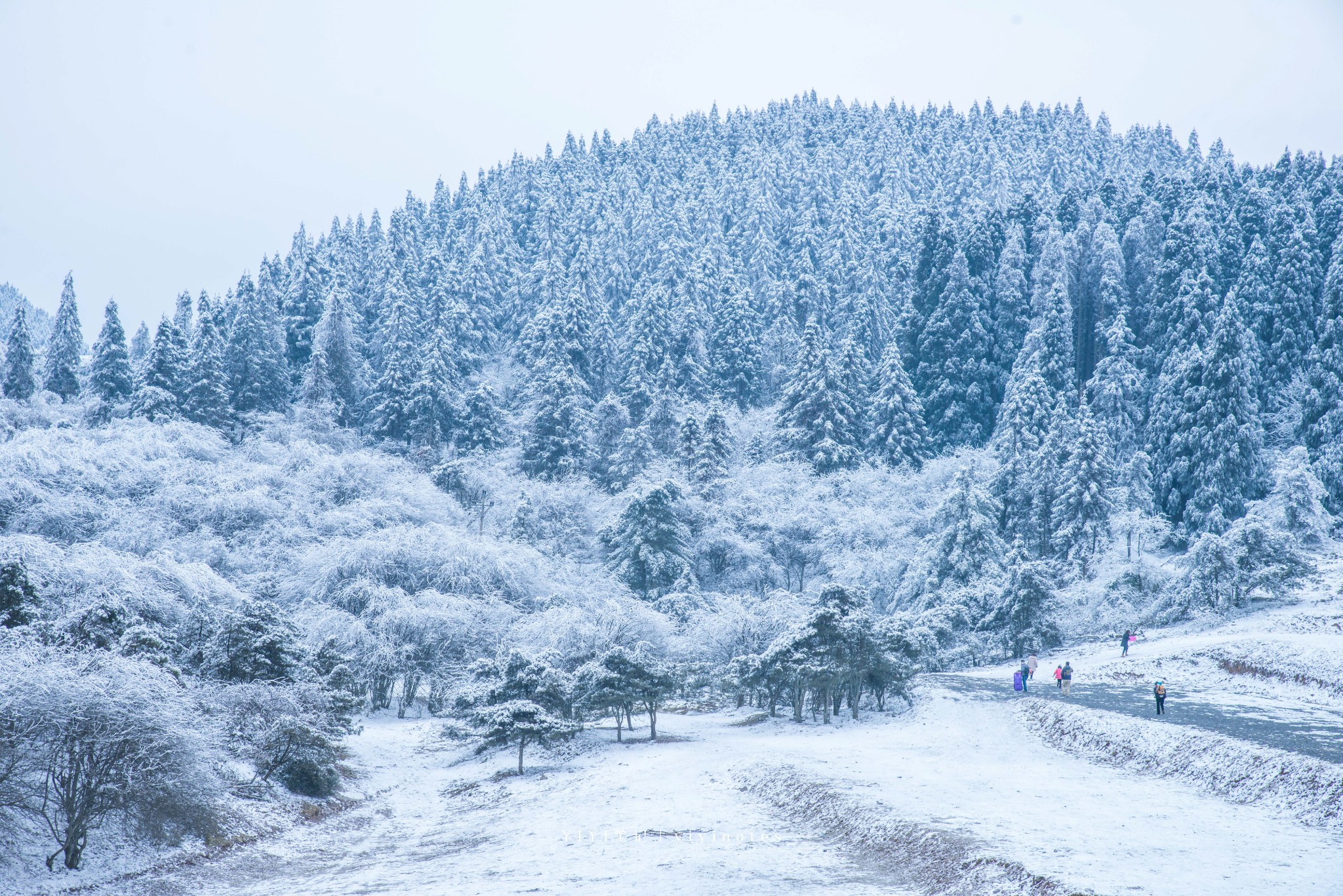 重庆武隆,6年后的再遇见,在下雪的冬天