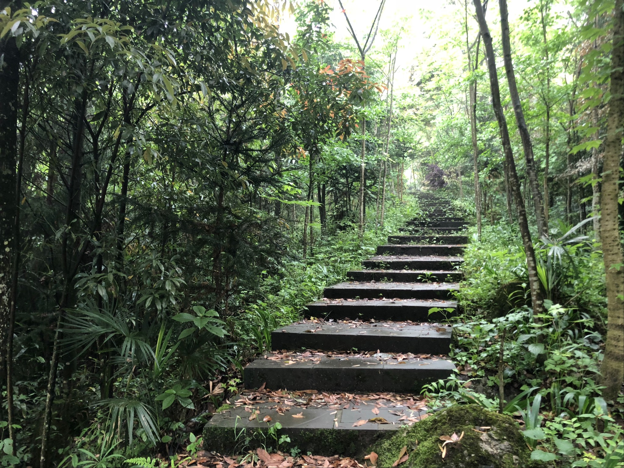 探秘花水湾千佛山绿野仙踪之旅