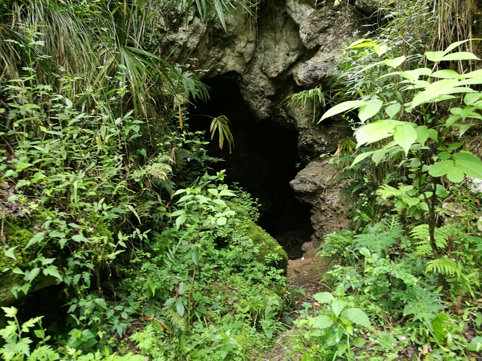 乌江源,观音洞,水西公园,象祠|贵州毕节黔西县