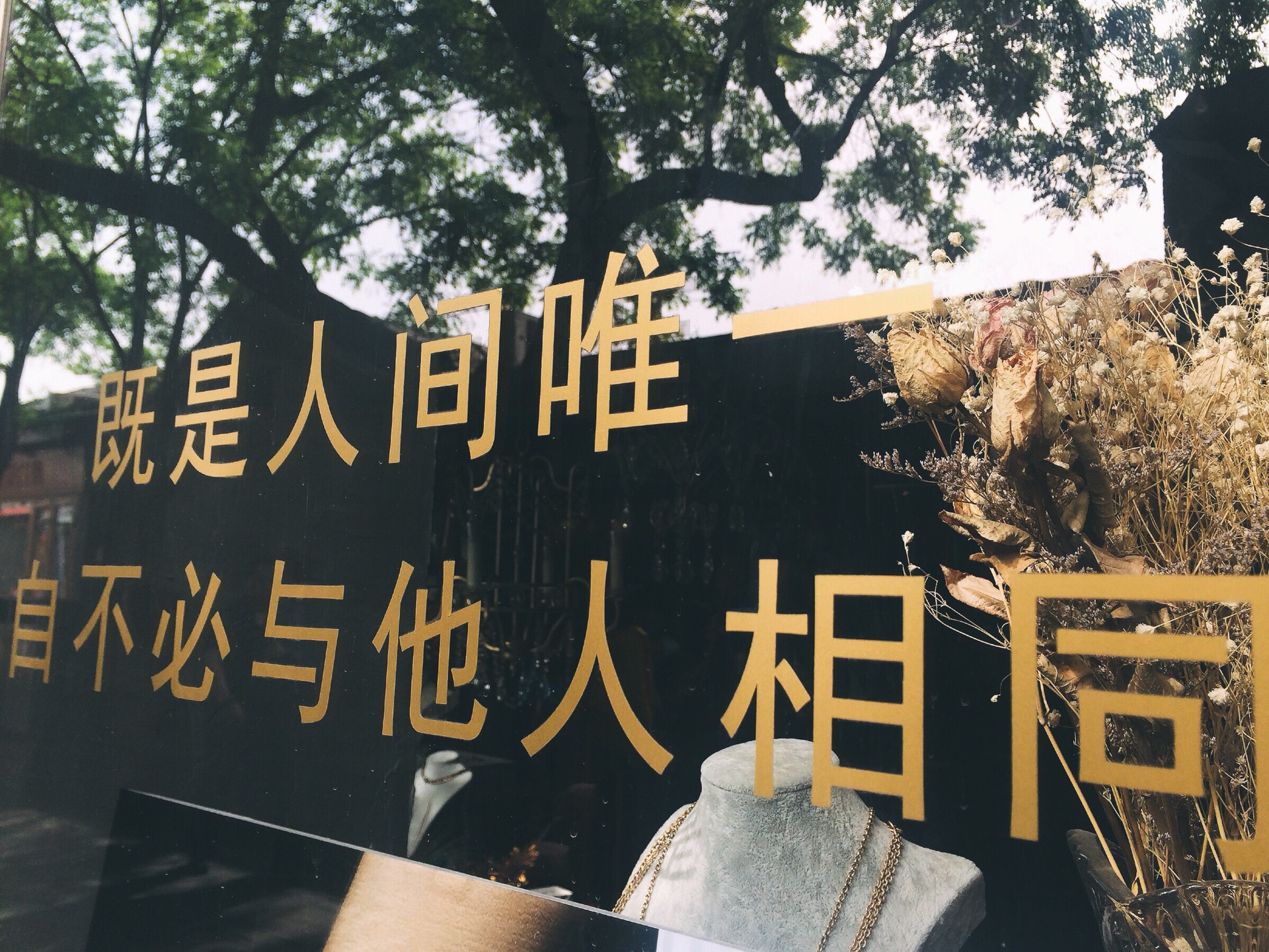 韶光人口_韶光慢