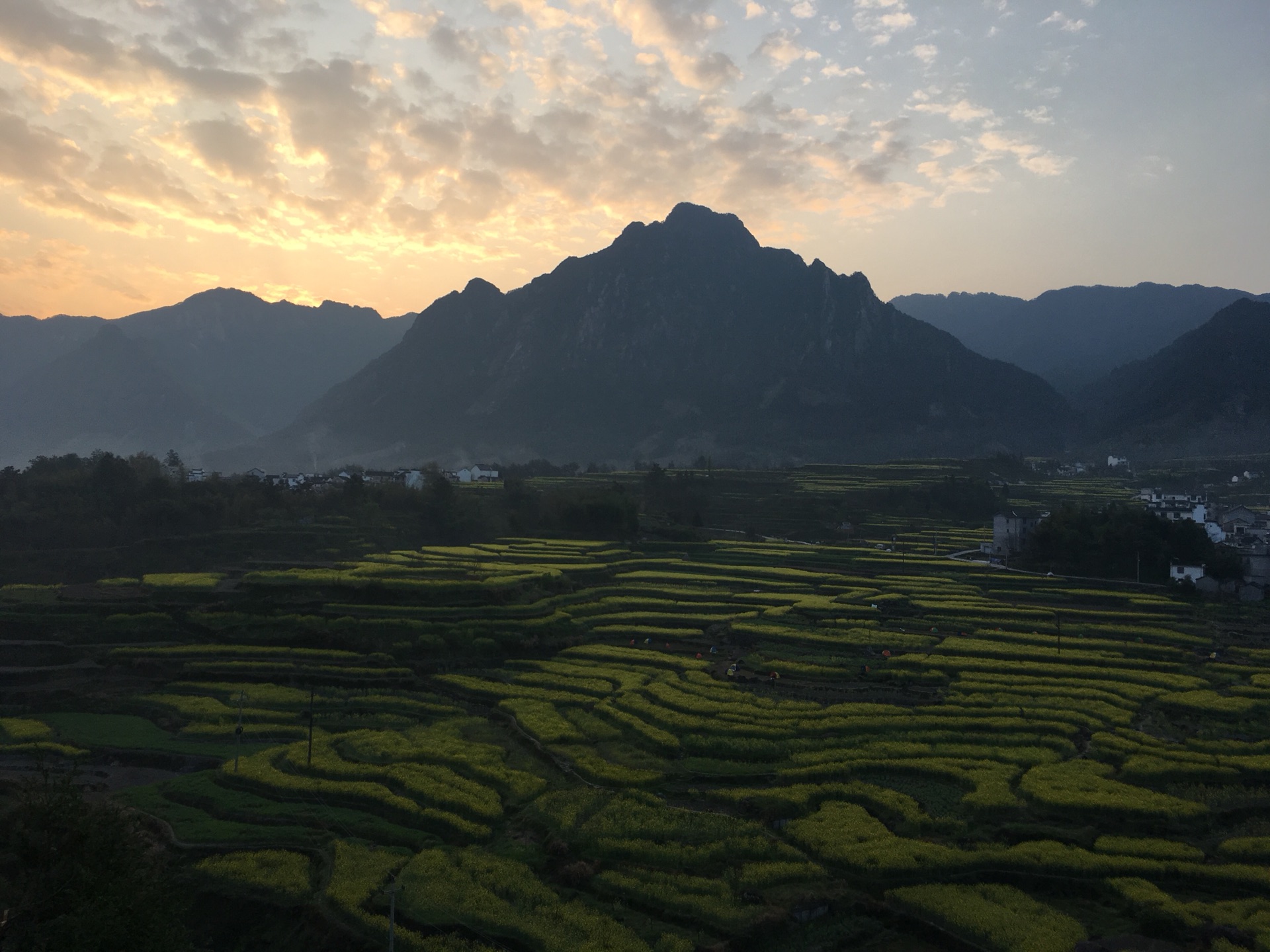 周末小游之陌上花开_游记