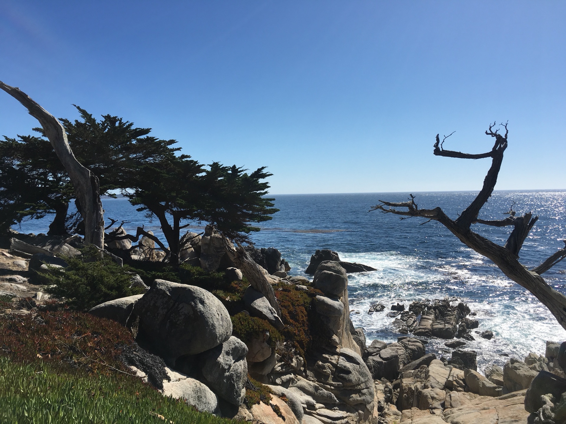 蒙特雷美食-Pebble Beach Market