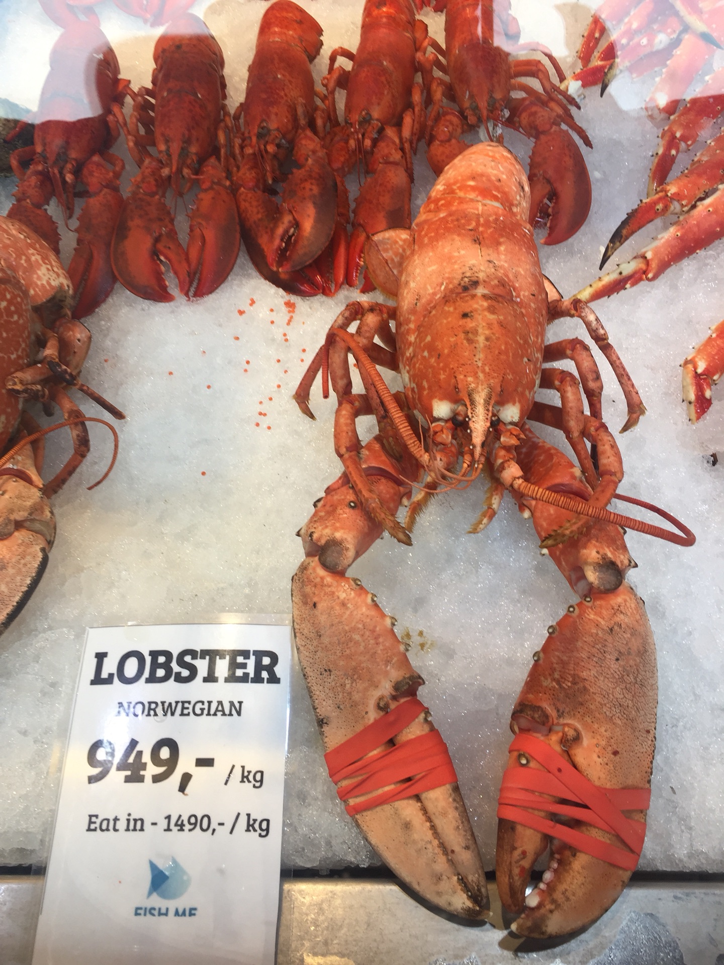 挪威印象，布吕根码头及魚市场采风_游记