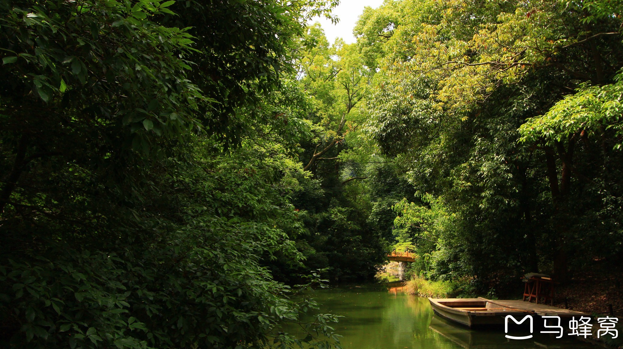 【远离人山人海】| 四国——日本乡下的小众目的地_游记