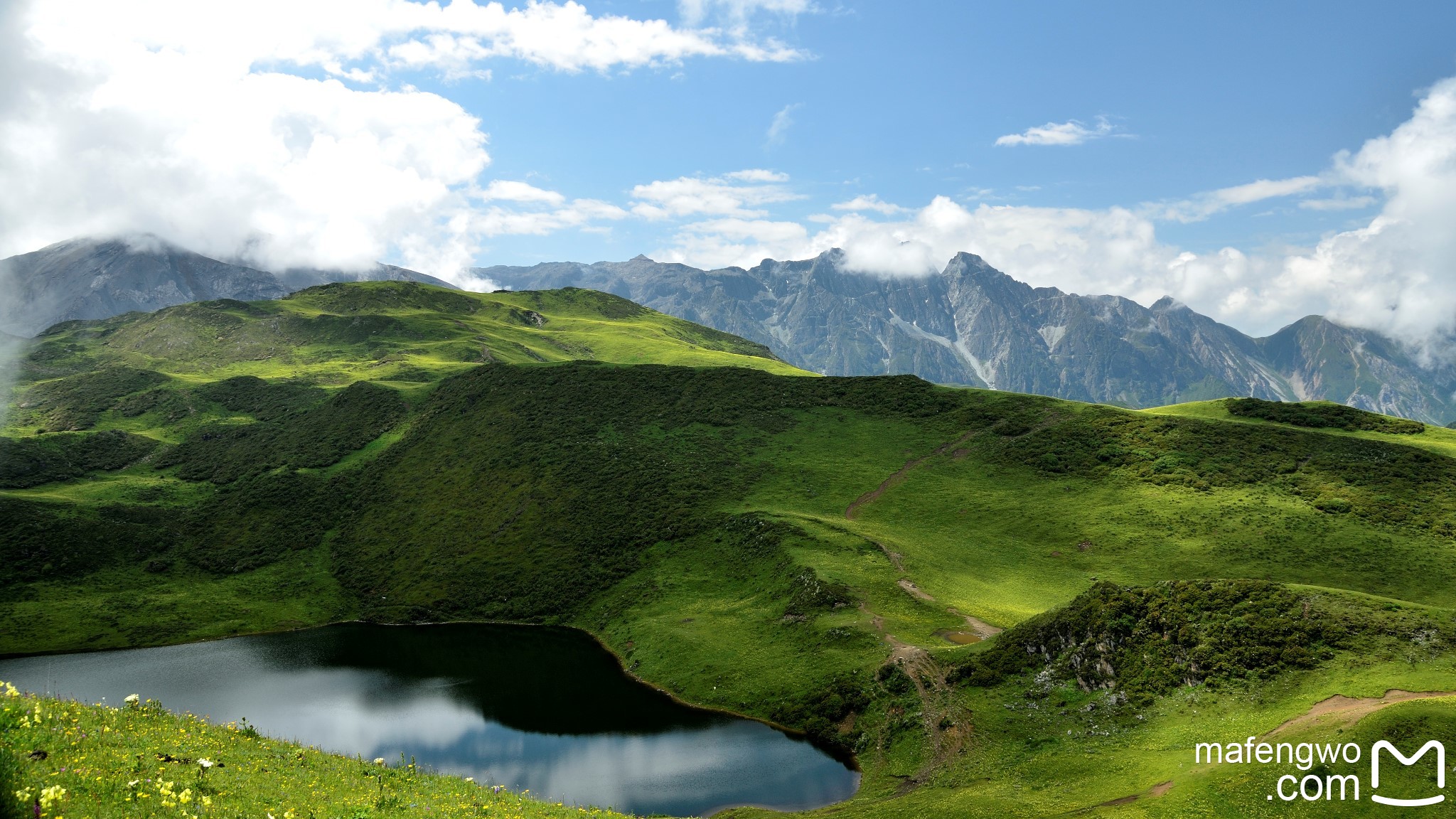 邂逅在那片花海——九顶山之黑龙池_游记