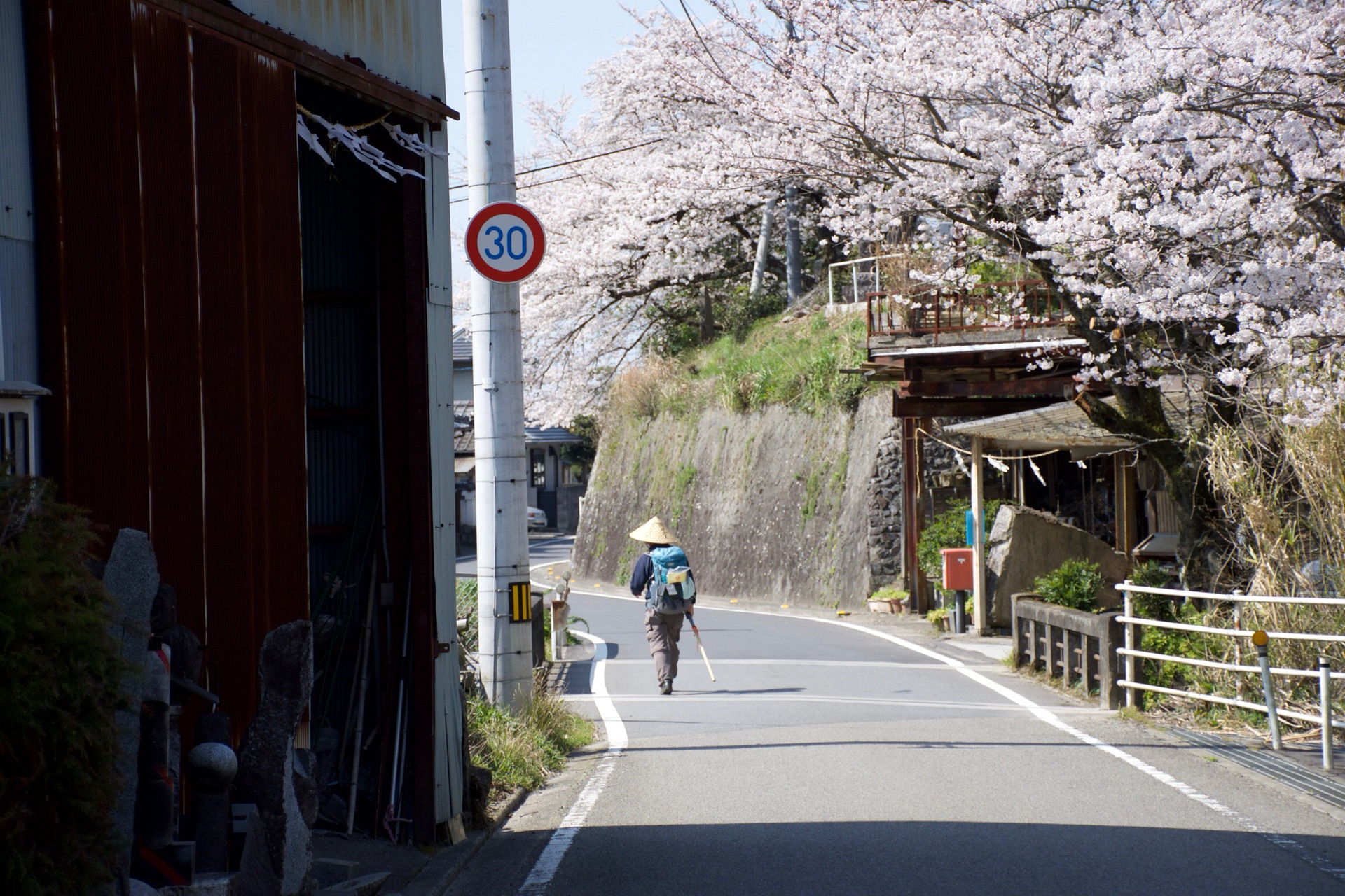 四国遍路（中）_游记