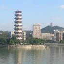 老游条