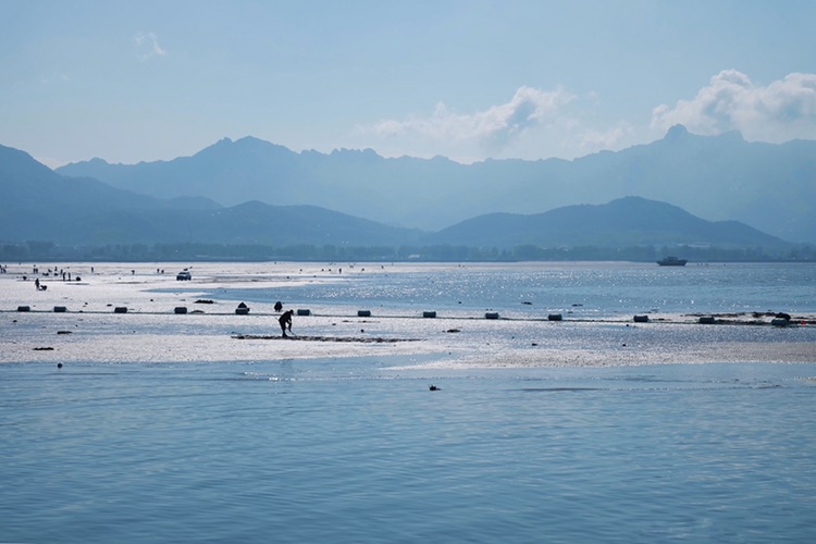 青岛美食-港东渔码头