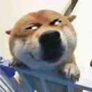 乔逸伟