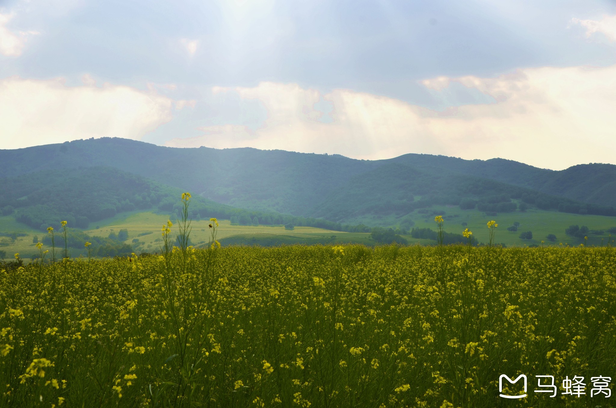 wKgBEFtxl4WAIfubAAmMYTRaQ_Q07.jpeg?imageView2%2F2%2Fw%2F600%2Fh%2F600%2Fq%2F90