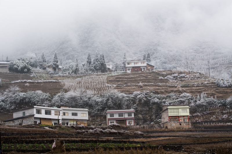 去泸州市海拔最高的分水镇罗汉林看雪景,叙永旅游攻略