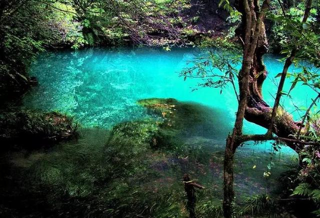 近3年贵州自由行接待冠军-贵州黔黔自由行