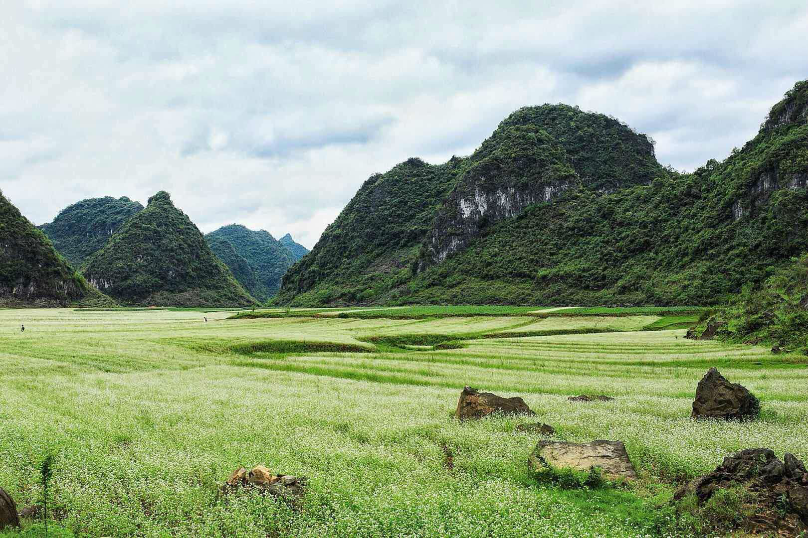 隆安更望湖看荞麦花龙虎山观猴休闲两天之旅_游记