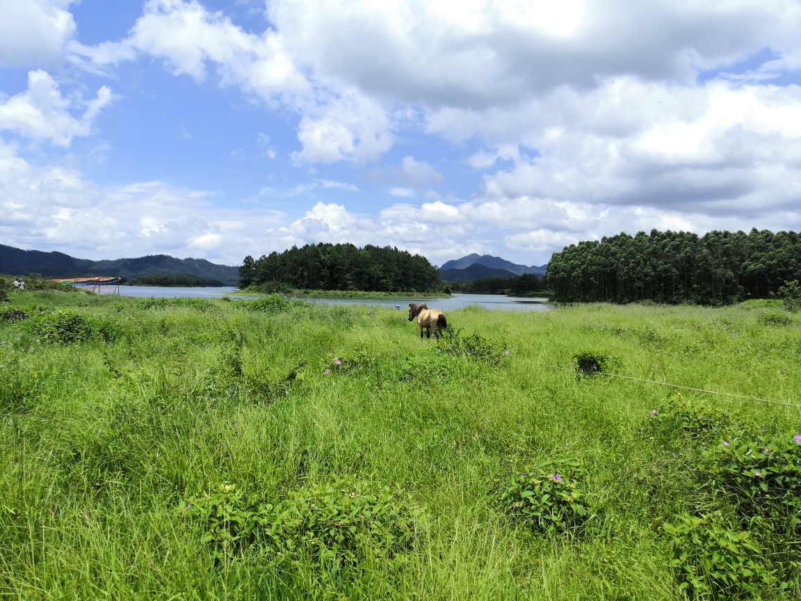 台山梅家大院,寻皇草原,风车山一日游