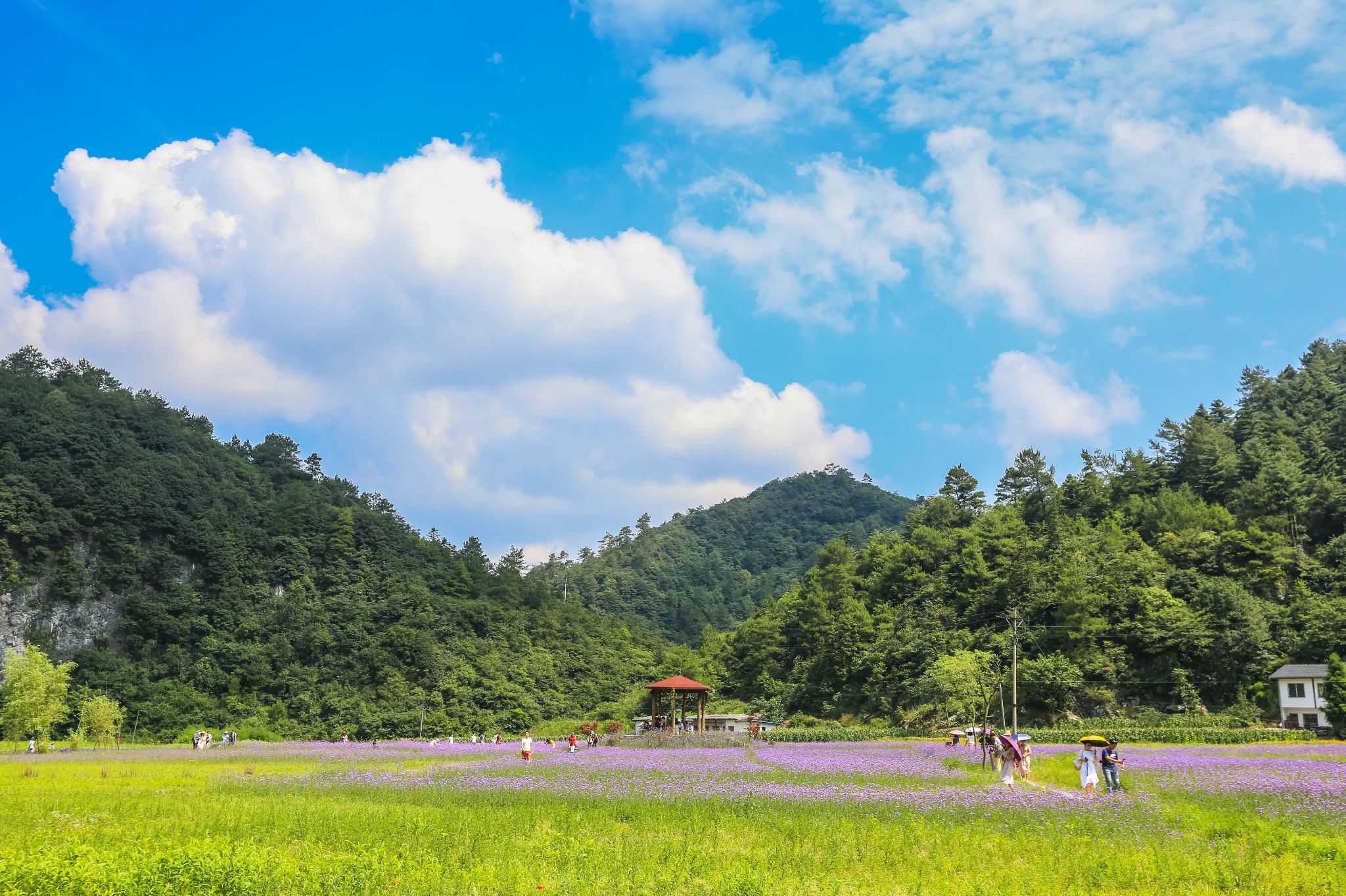 【綦江区图片】被誉为“重庆的香格里拉”，夏季平均气温23℃，离主城区一百多公里