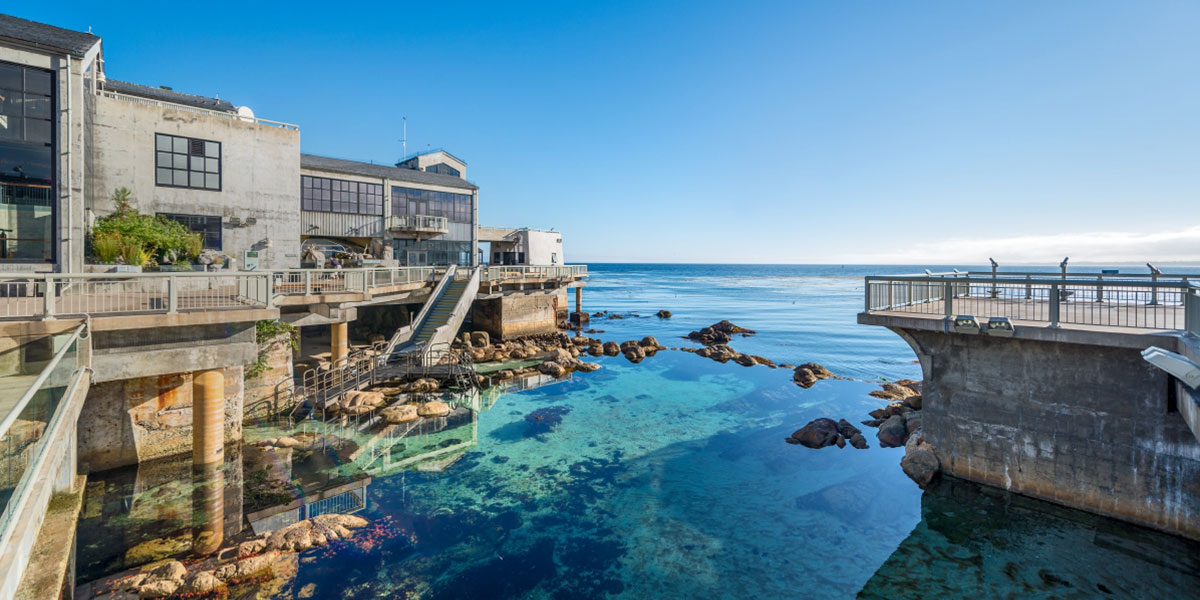 旧金山 蒙特雷湾水族馆monterey bay aquarium门票(亲子首选/视觉享受