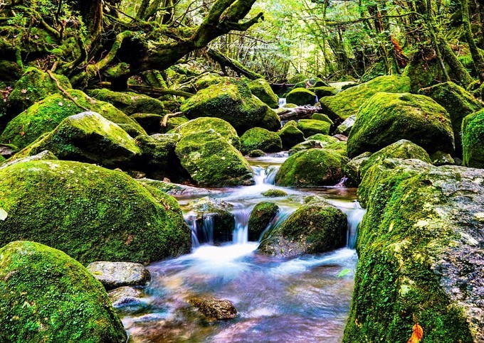 潜派旅行