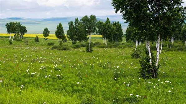 呼伦贝尔一般什么时候去最好