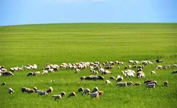 呼伦贝尔一般什么时候去最好