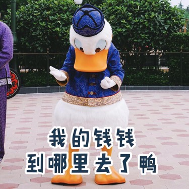 纠结的黄鸭鸭