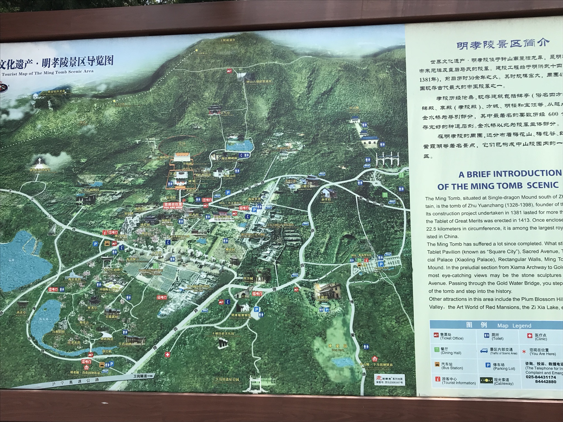 都安排在了钟山风景区,作为南京最大的风景区,汇集了:中山陵,明孝陵